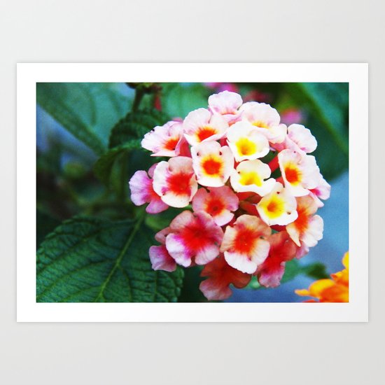 Flower Art Print