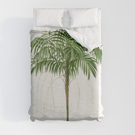 Vintage Botanical Print - Monostachia palm tree  Duvet Cover