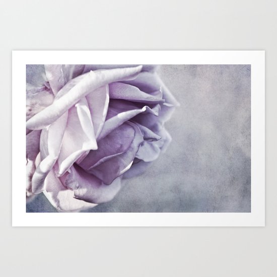 purple rose Art Print