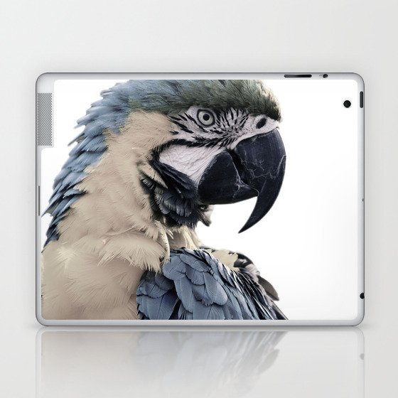 Blue Parrot Laptop & iPad Skin