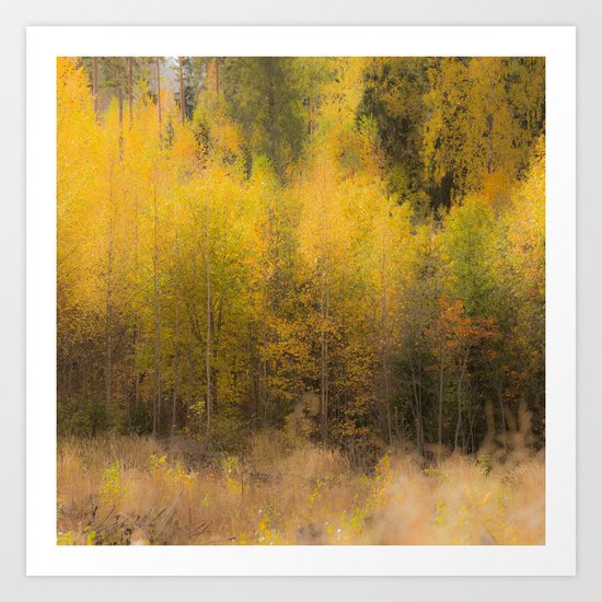 Fall color forest Art Print