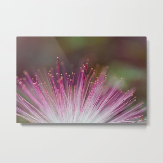Dreaming Metal Print