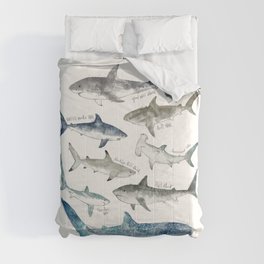 Sharks Comforter