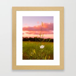 Wildflower 2 Framed Art Print