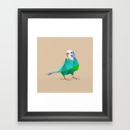Parakeet Framed Art Print