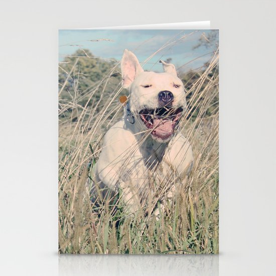 Beefcake Stationery Cards