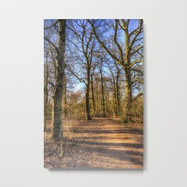 Spring Forest Path Metal Print | Springforest, Spring, Hdr, Color, Trees, Springtime, Springtimeforest, Landscape, Englishforest, Photo 