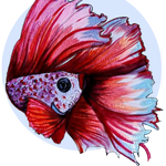 AWL Art & Design