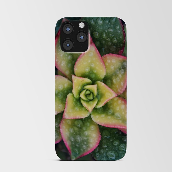 Succulents 8 iPhone Card Case