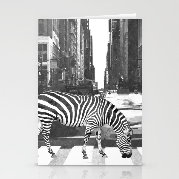 Black and White Zebra in NYC Stationery Cards
