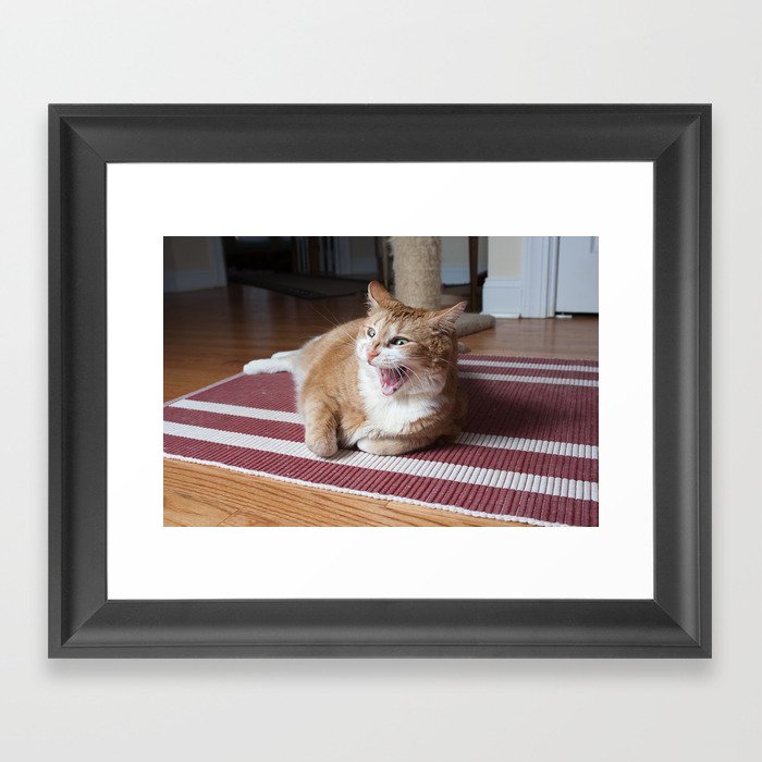 ROAR! I'm a Kitty! Framed Art Print