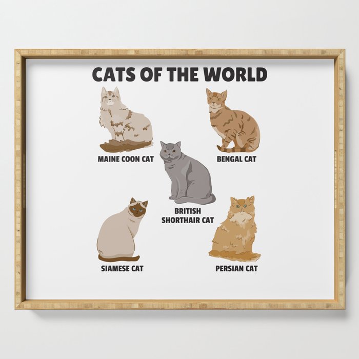 Cats Of The World Different Breeds Of Cats Serving Tray