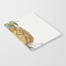 Hand Drawn Pineapple Notebook