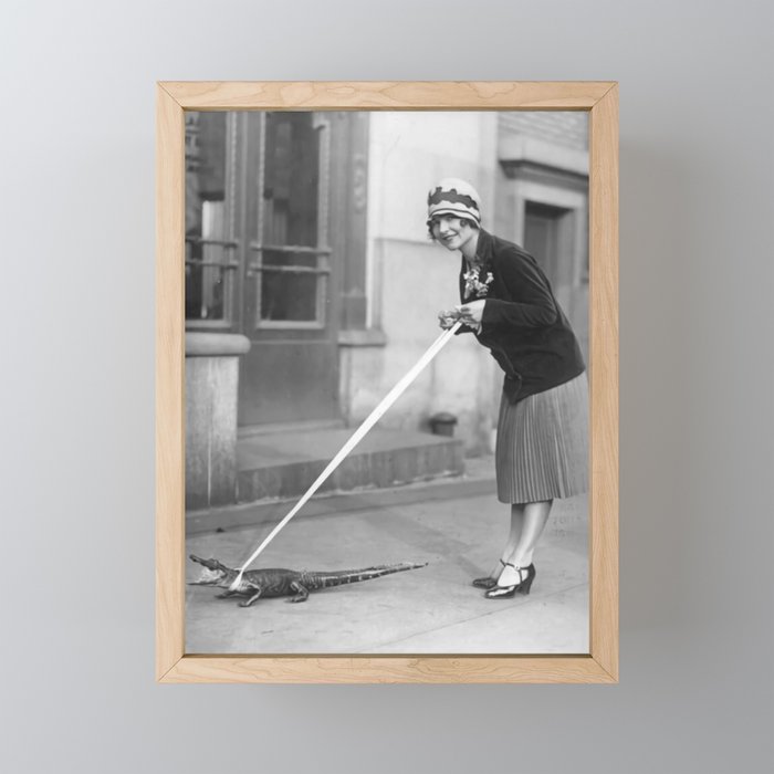 Flapper walking pet alligator on city street humorous portrait black and white photograph - photography - photographs Framed Mini Art Print