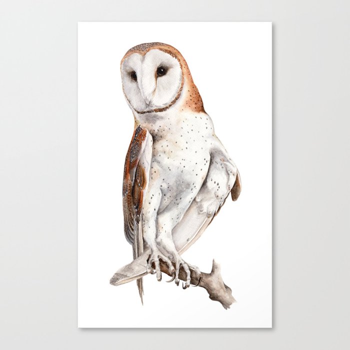 Barn Owl Watercolor Canvas Print