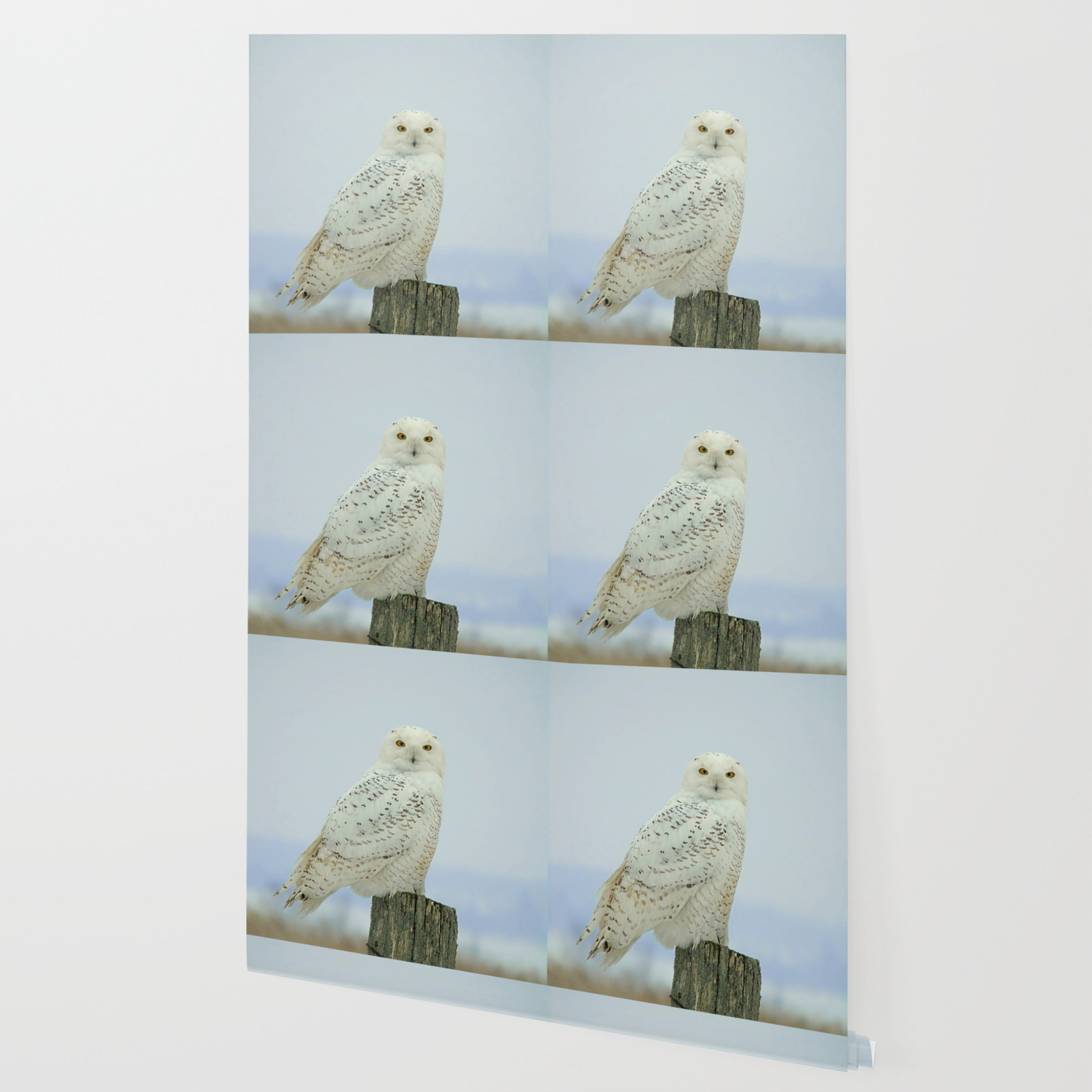 Snowy Owl Wallpaper By Gbartdesign Society6
