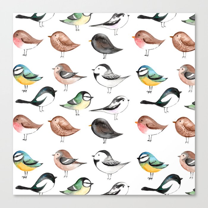 Garden Birds Canvas Print