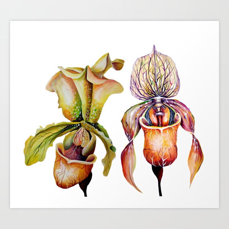 Watercolor Paphiopedilum Orchids In Vivid Colors Art Print By Nisuris Society6