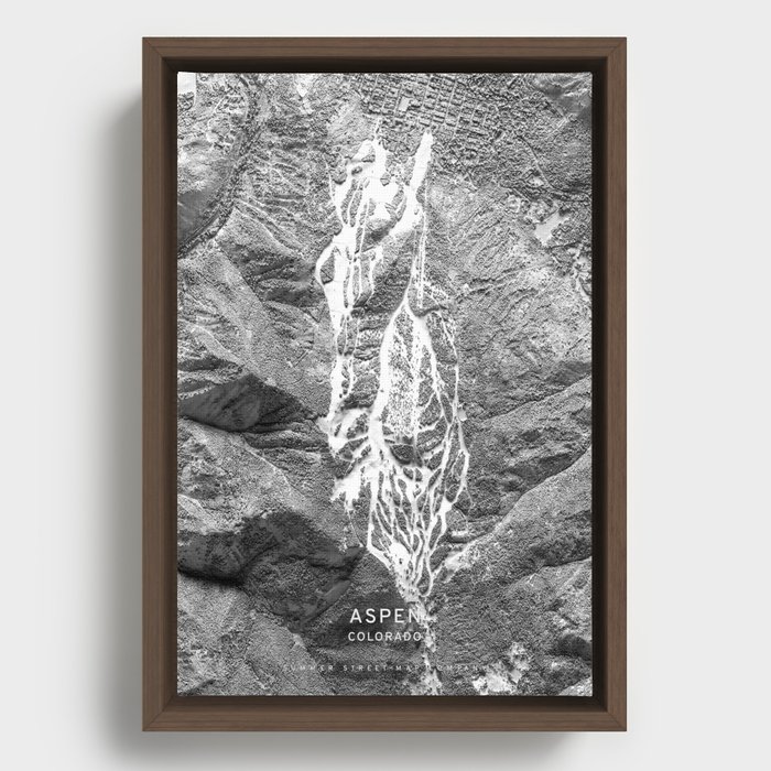 Aspen 3D Map Framed Canvas