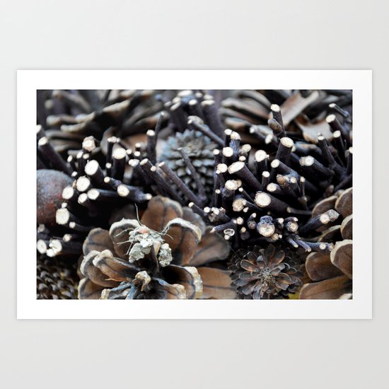 Pinecones Art Print