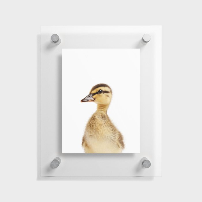 Duckling, Farm Animals, Art for Kids, Baby Animals Art Print By Synplus Floating Acrylic Print