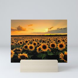 Sunflower field Mini Art Print