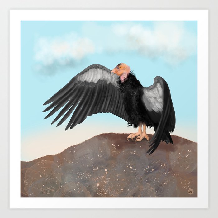 California Condor Magnificent Bird Art Print