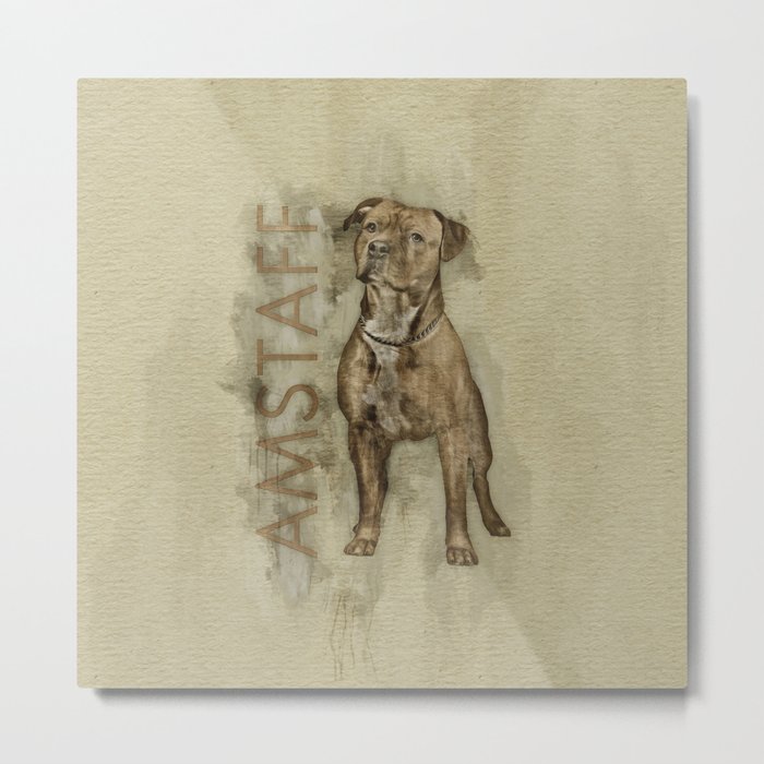 American Staffordshire Terrier - Amstaff Metal Print