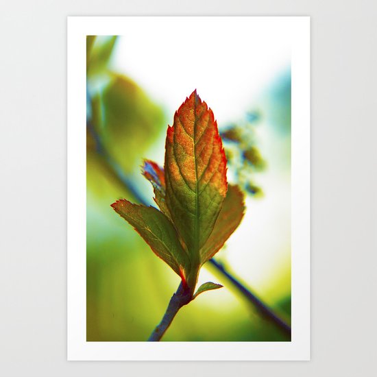 Glowing leaf Art Print