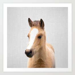 Baby Horse - Colorful Art Print