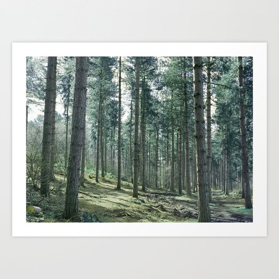 The pines forêt Art Print