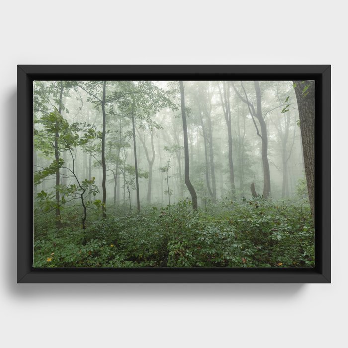 Framed Canvas