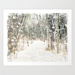 Winter Woods Art Print