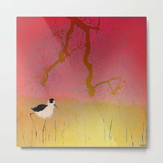 Setting sun on the rice field Metal Print