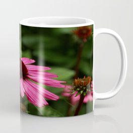 Echinacea Blossom Coffee Mug
