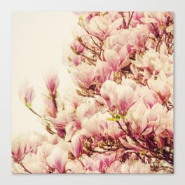 Oh Magnolia - Lilac Canvas Print