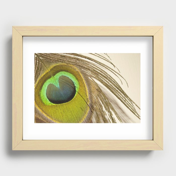 pecock feather Recessed Framed Print by Francis Kiarie