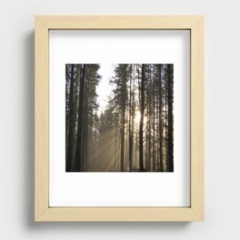 Winter Forest Sun rays in Expressive  Recessed Framed Print