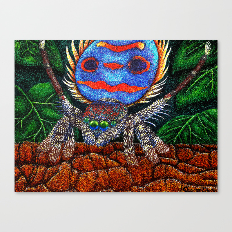Peacock Spider S Dance Canvas Print By Valkyrievale Society6