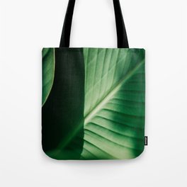 Close Up Of Green Tropical Textured Leaf Tote Bag