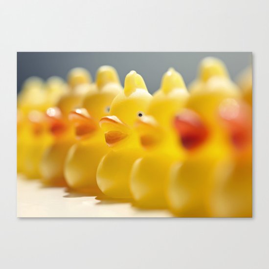 all your ducks in a row Canvas Print