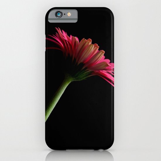Pink Gerbera 7 iPhone & iPod Case