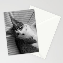 I Cat Even Right Now Stationery Cards