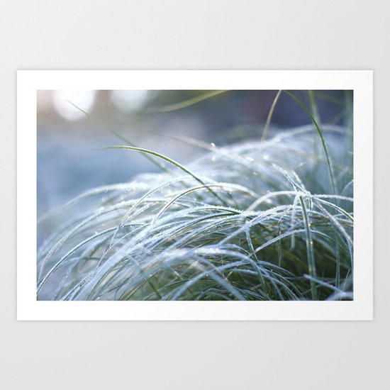 Frosted Art Print