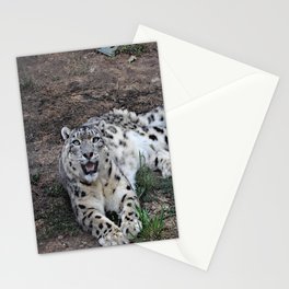 Snow Leopard Stationery Cards