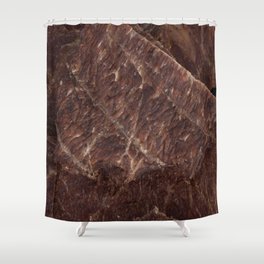 Beef Jerky Shower Curtain