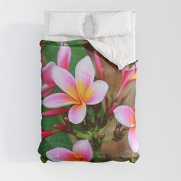 Plumeria Floral Art - Tropical Queen - Sharon Cummings Comforter
