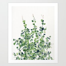 Eucalyptus  Art Print