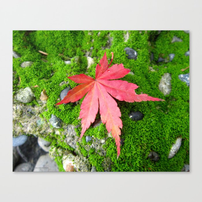 Leaf Zen Canvas Print