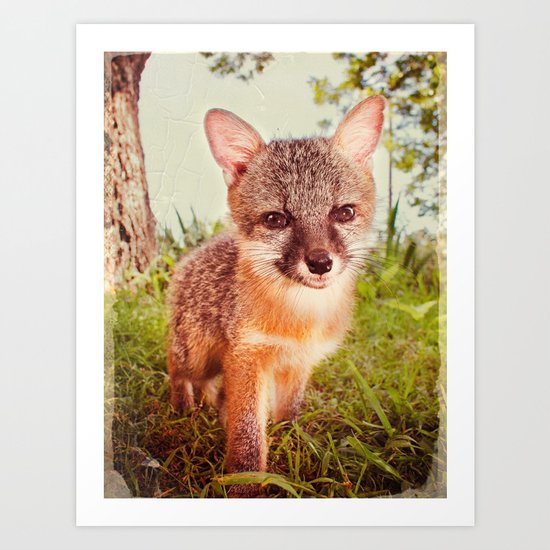 So Foxy! Art Print